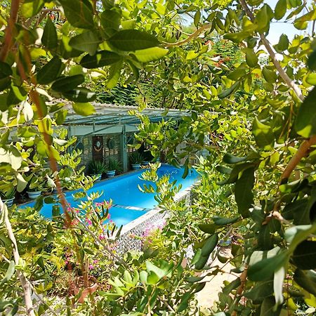 Silk Island Homestay Phnom Penh Zewnętrze zdjęcie