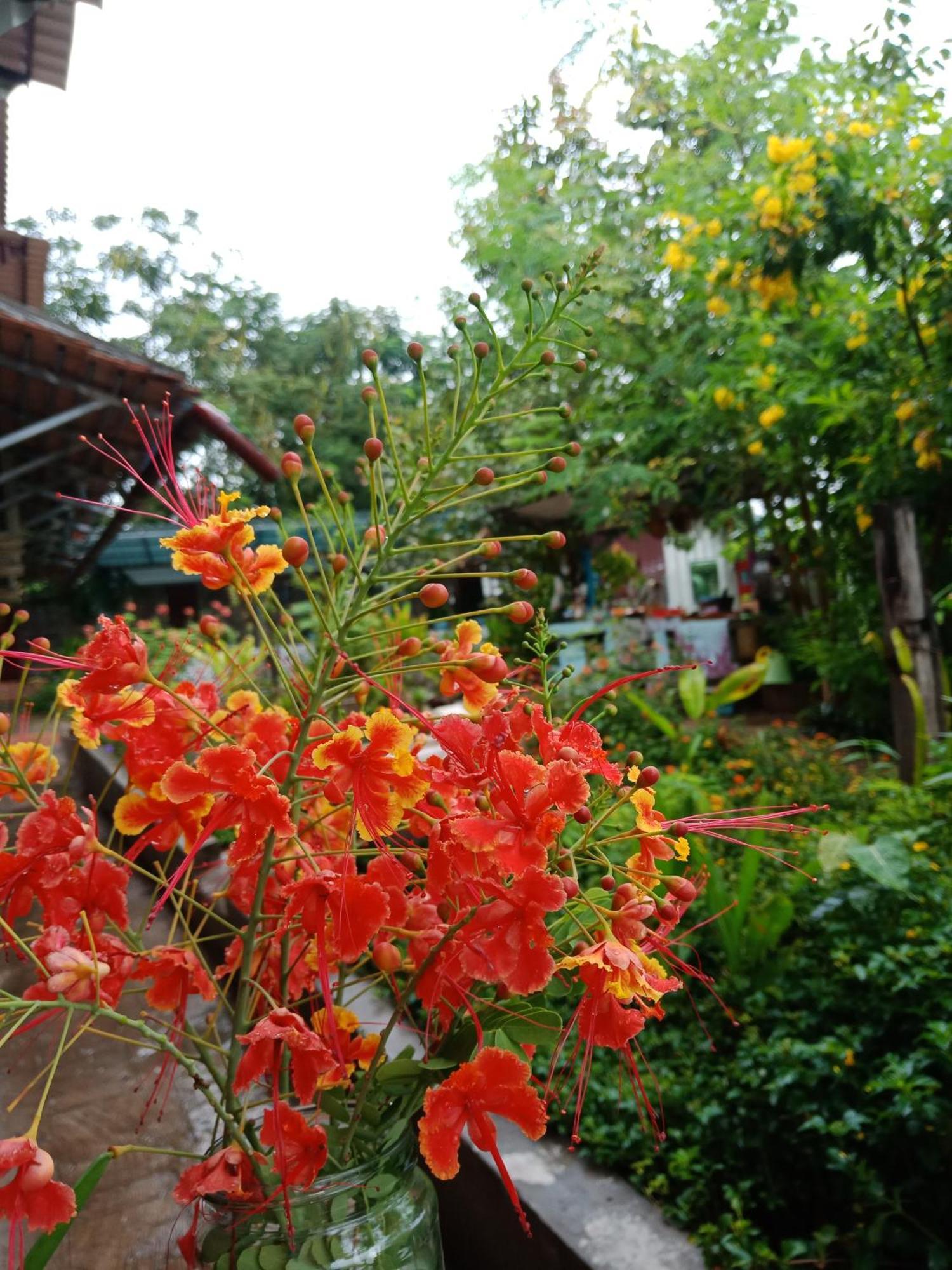 Silk Island Homestay Phnom Penh Zewnętrze zdjęcie